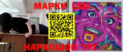 винт Кимры