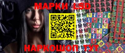 прущие грибы Канаш