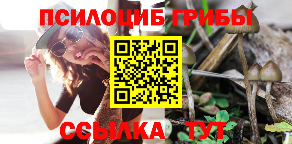 Псилоцибиновые грибы Magic Shrooms Прохладный