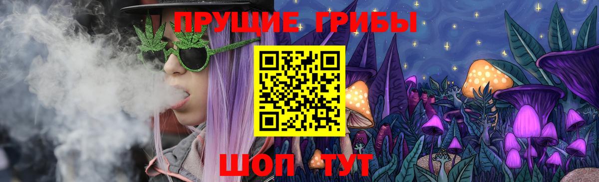 Прохладный  где можно купить наркотик  Вход с VPN  Галлюциногенные грибы мицелий 