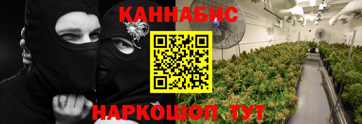 Бошки Шишки SATIVA & INDICA Прохладный